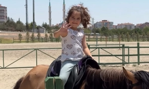 Binicilik Etkinliği
